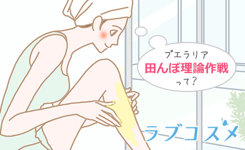 プエラリア田んぼ理論作戦って?