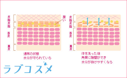 肌の乾燥対策のイラスト