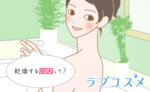 そもそも肌が乾燥してしまう原因って?