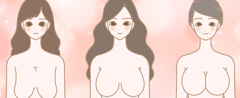 女性のおっぱいの仕組みについてのイラスト