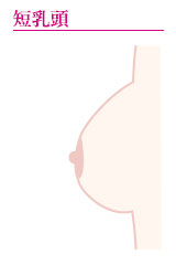 短乳頭(短め乳首)画像