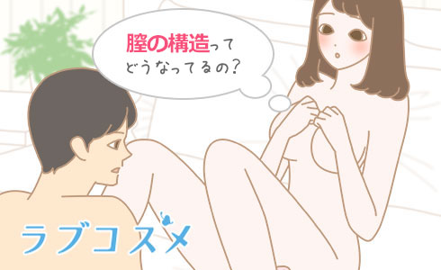 膣の構造ってどうなってるの?