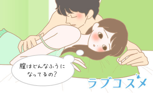 膣はどんなふうになってるの?