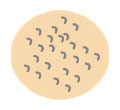 皮脂の分泌が盛んで毛穴の中に汚れや余分なものが詰まったポツポツ型の毛穴。