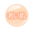 若い肌