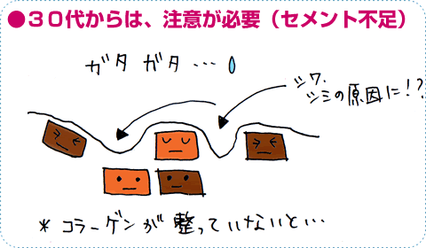 30代以降コラーゲンが減少!コラーゲンが不足すると肌の弾力は失われる