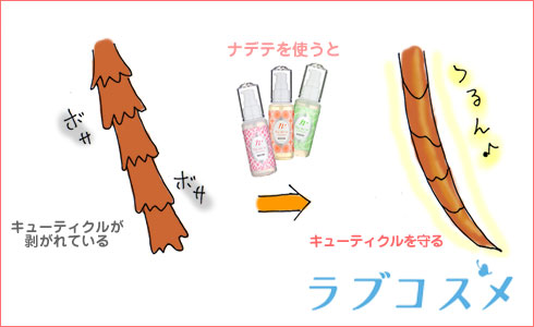 髪のパサつきはキューティクルが剥がれてしまうことが原因