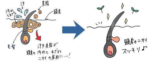 すすぎ不足によるシャンプーや整髪料の残りや古い角質が混ざり雑菌の繁殖が臭いの原因