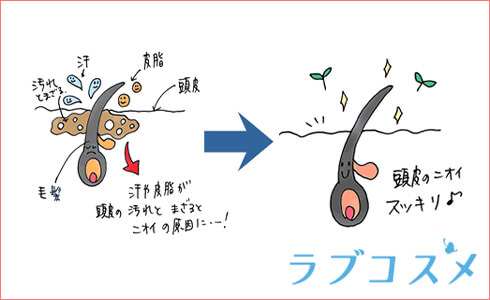 すすぎ不足によるシャンプーや整髪料の残りや古い角質が混ざり雑菌の繁殖が臭いの原因