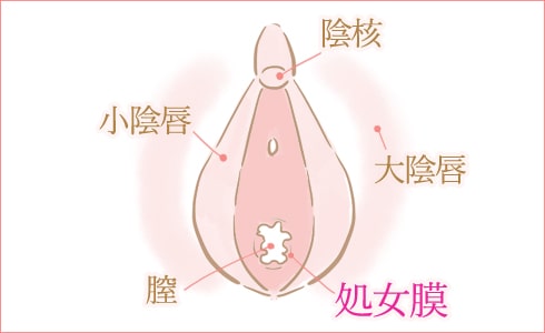 初体験準備は、リラックスして緊張をときほぐすもの