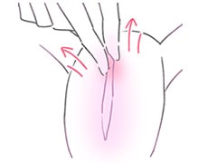 軽く引っ張る