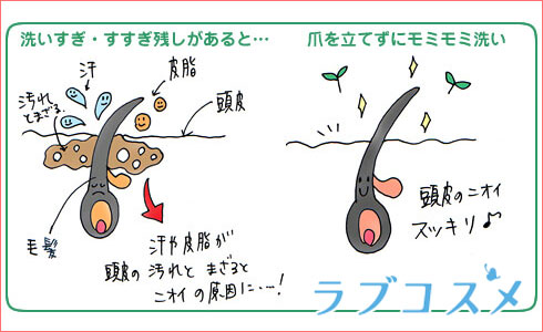 頭皮の汗や皮脂分泌が臭いの原因に