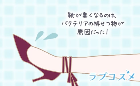 靴が臭くなるのは、バクテリアの排せつ物が原因だった!
