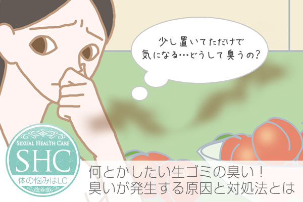 生ゴミの匂いの消臭対策。台所やゴミ箱の生ごみ臭を消す方法。