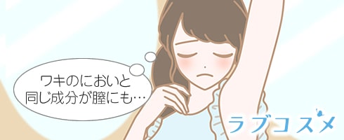 ワキガの人はこのアポクリン腺が発達していることが原因で臭いが強い