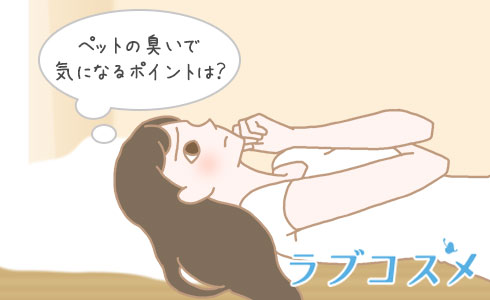 ペットの臭いで気になるポイントは?