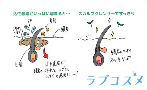 臭いの原因となるノネナールが発生するメカニズムと活性酸素による体内の酸化
