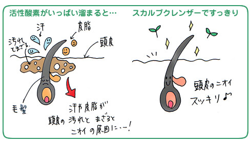 臭いの原因となるノネナールが発生するメカニズムと活性酸素による体内の酸化