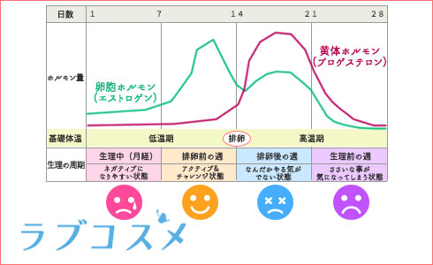 参考画像