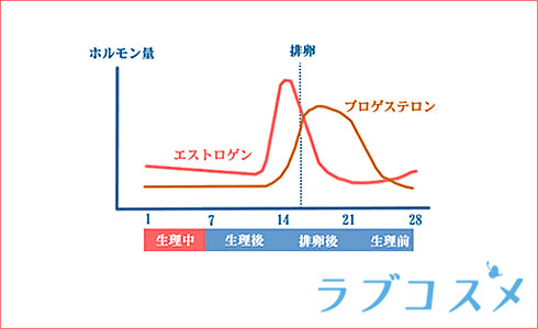 生理周期における女性ホルモン(エストロゲン/プロゲステロン)の分泌量に関するグラフ