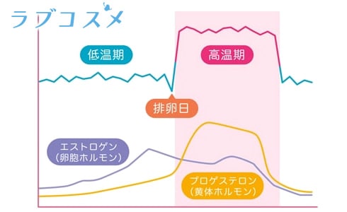 ピルで生理周期をコントロールするには、女性ホルモンを調整します