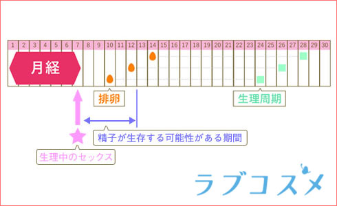 月経後4~5日ほどで不定期に起こる排卵。生理前の安全日での生での中出しで妊娠の可能性