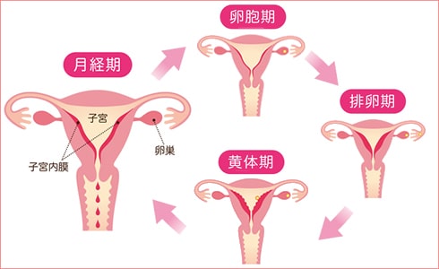 生理が来ない