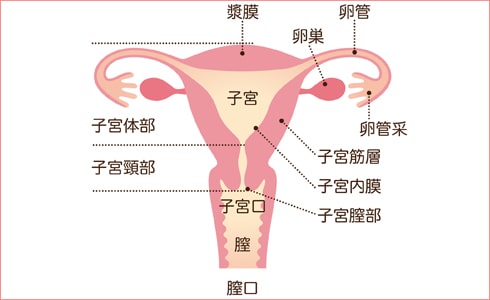 生理が来ない
