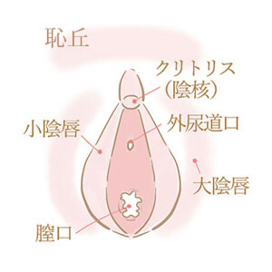 ステップ5
