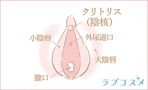 外イキに欠かせないクリトリスの位置