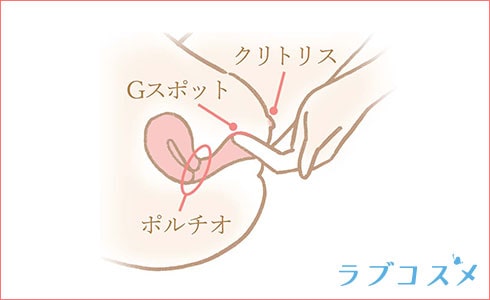 Gスポットとポルチオの位置