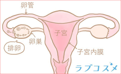 前戯だけで妊娠する可能性