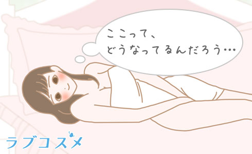 女性器(ヴァギナ)の構造ってどうなっているんだろう?