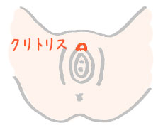 クリトリス