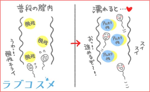 愛液 多い 妊娠しやすい