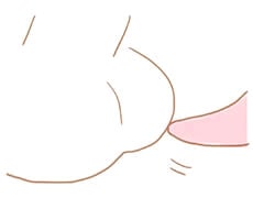 ステップ5睾丸