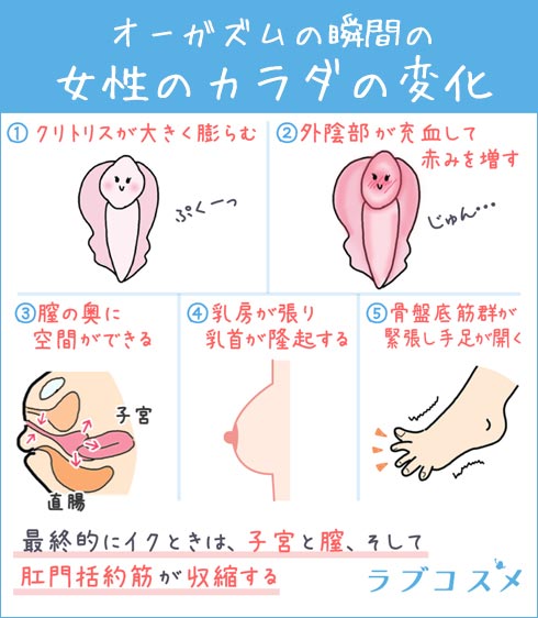 オーガズムとの瞬間の女性のカラダの変化