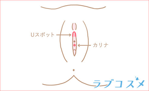 Uスポット