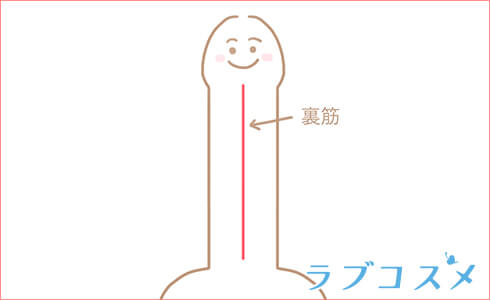 裏筋