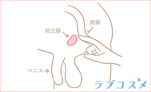 前立腺