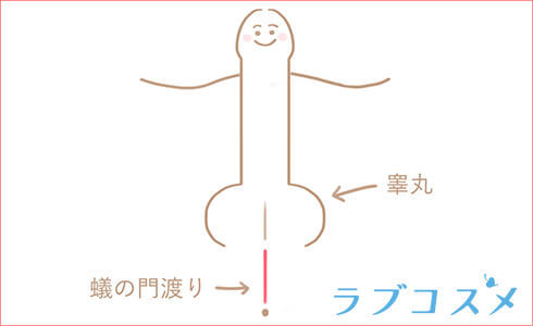 蟻の門渡り