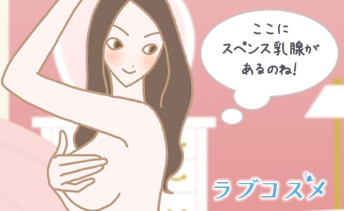 スペンス乳腺は、「横乳」と呼ばれる部分にある