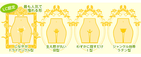 もっとも人気で憧れる形とは