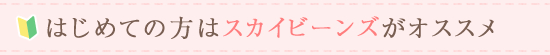 はじめての方はスカイビーンズがオススメ