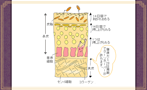 プリリーナ プレミアムコーティングジェル ブドウマスカット商品画像01