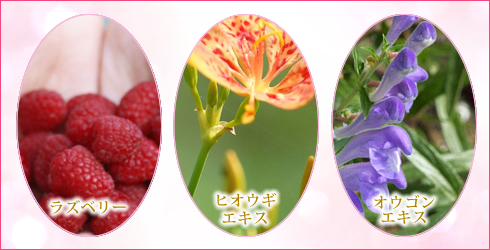 香りイメージ