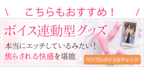 ボイス連動型グッズ