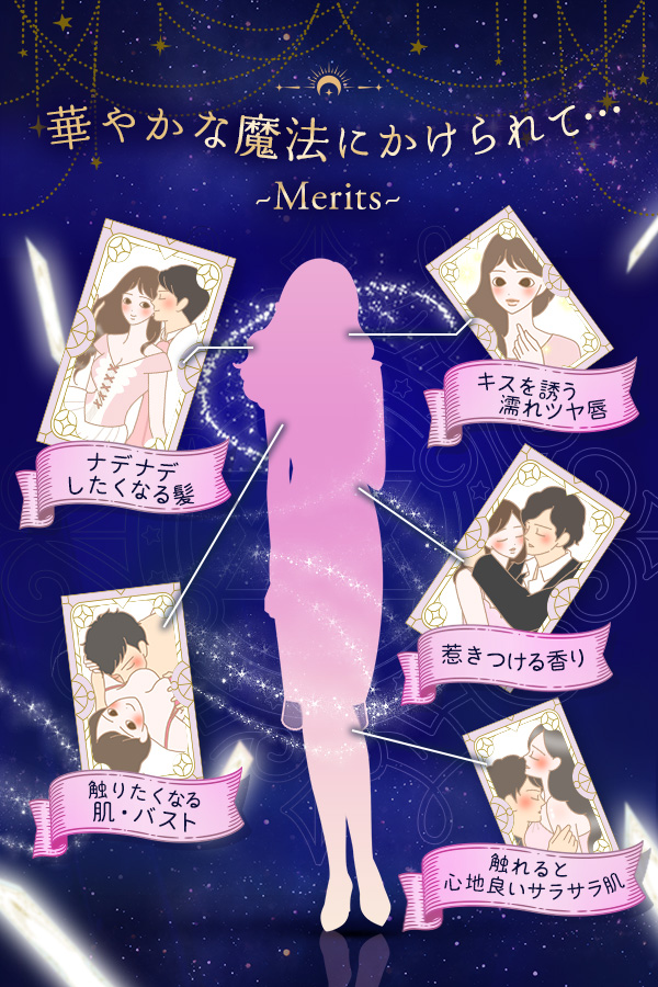 ダズリン・ブルーベリータルト　フルセット