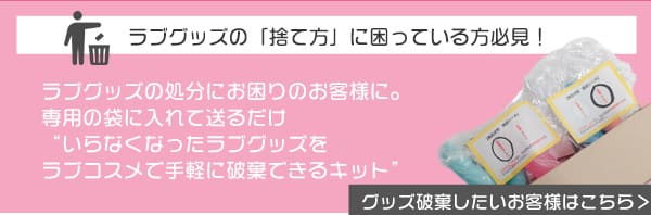 【SET】振動プラス！騎乗位レッスンもっと感じるスターターセット＋騎乗位のやり方動画付きの商品画像 10