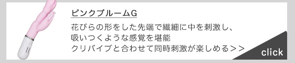 ラブグッズ回収キットGoods-bye（グッズバイ）